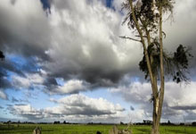 虎扑体育官网：2025崇州半程马拉松开跑.