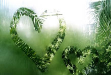 葡媒：曼联等多队夏季关注葡体后卫伊纳西奥，费用至少4500万欧.