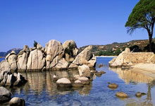 虎扑体育官网：帕雷德斯对罗德里戈：我2个美洲杯，你一个没有.